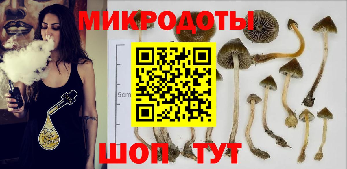Псилоцибиновые грибы Psilocybe  Вход с VPN  Псилоцибиновые грибы мухоморы  Выкса 