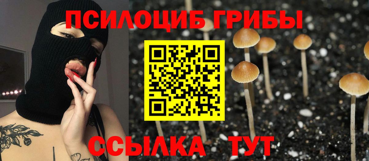 Меф   КОКАИН  ГАШ  Вход с VPN  MDMA  Выкса  ГАШИШ  Бошки Шишки 